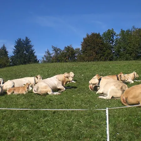 Farm stay Berghof Latzer Gurtis